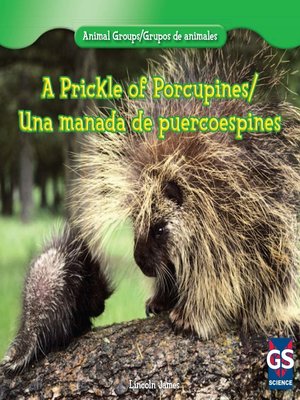 cover image of A Prickle of Porcupines (Una manada de puercoespines)